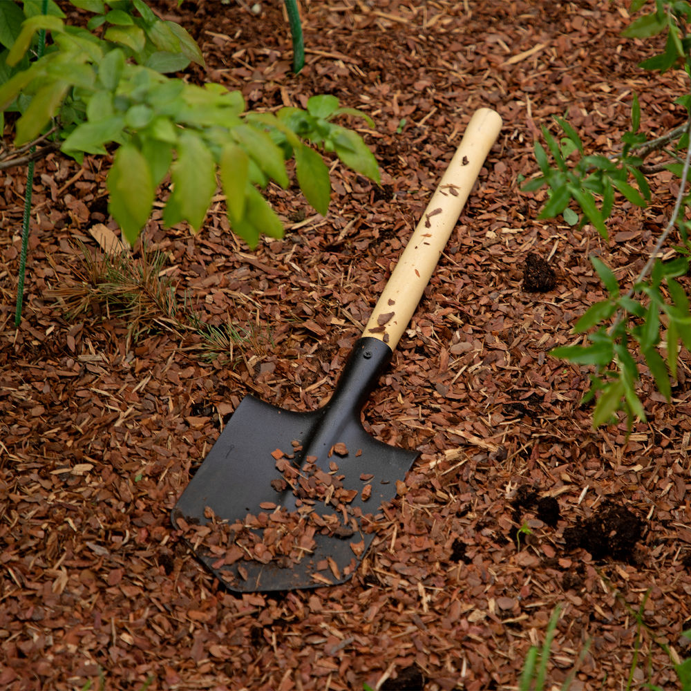 Лопата саперная, 145х190х580 мм, деревянный черенок, (61425)