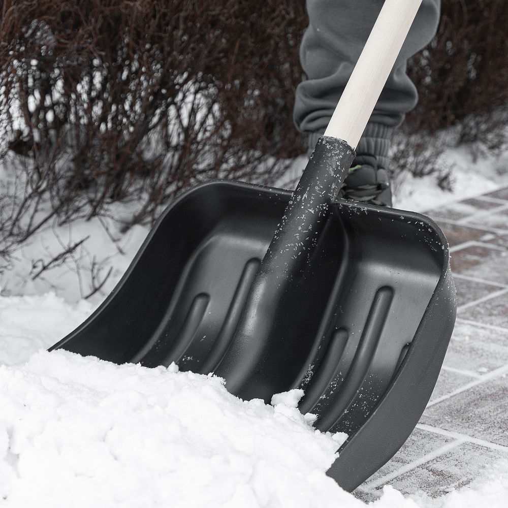 Лопата для уборки снега пластиковая, 360 х 405 х 1550 мм, деревянный черенок в/с, Сибртех (61566)