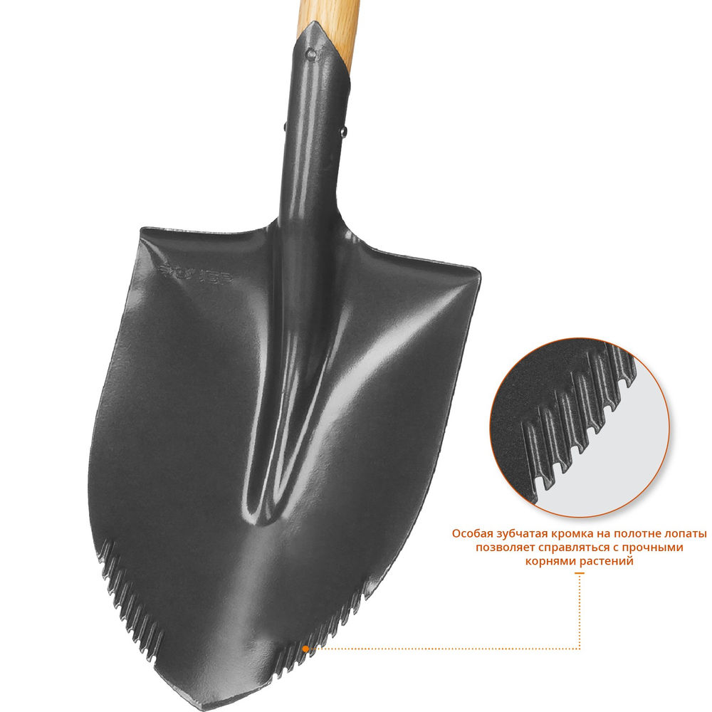 Лопата 228 х 173 х 800 мм полотно 1.6 мм с зубцами закалено дерев.черенок высш. сорт с рукояткой автомобильная Профессионал ЗУБР БЕРКУТ 4-39506