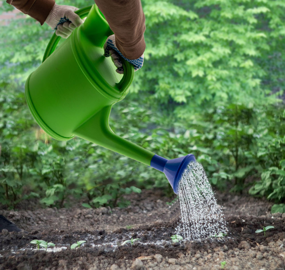 Лейка садовая, 10 л, с горловиной, пластмассовая Сибртех (67521)