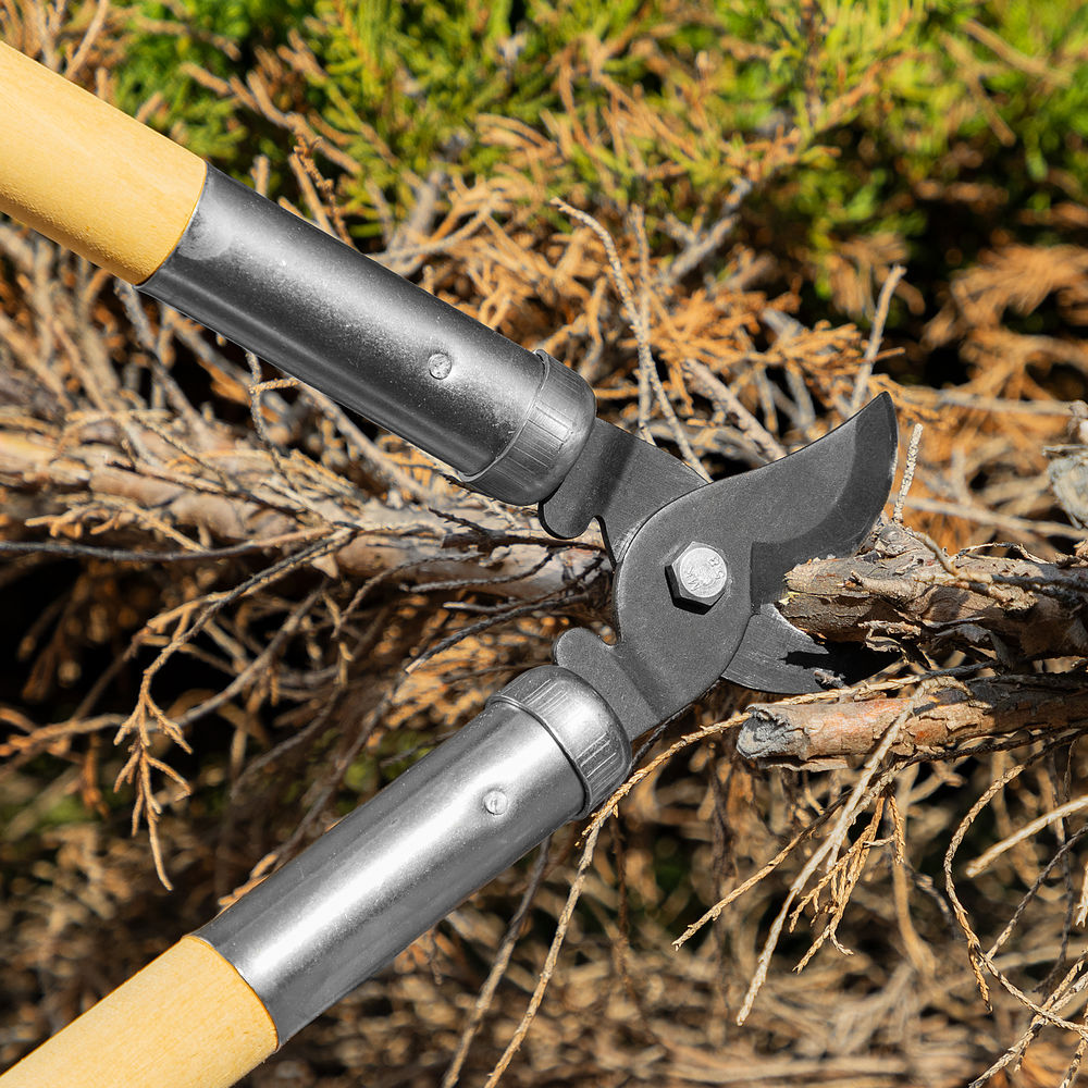 Сучкорез прямого реза, 500 мм, деревянные рукоятки, Горизонт, (60815)