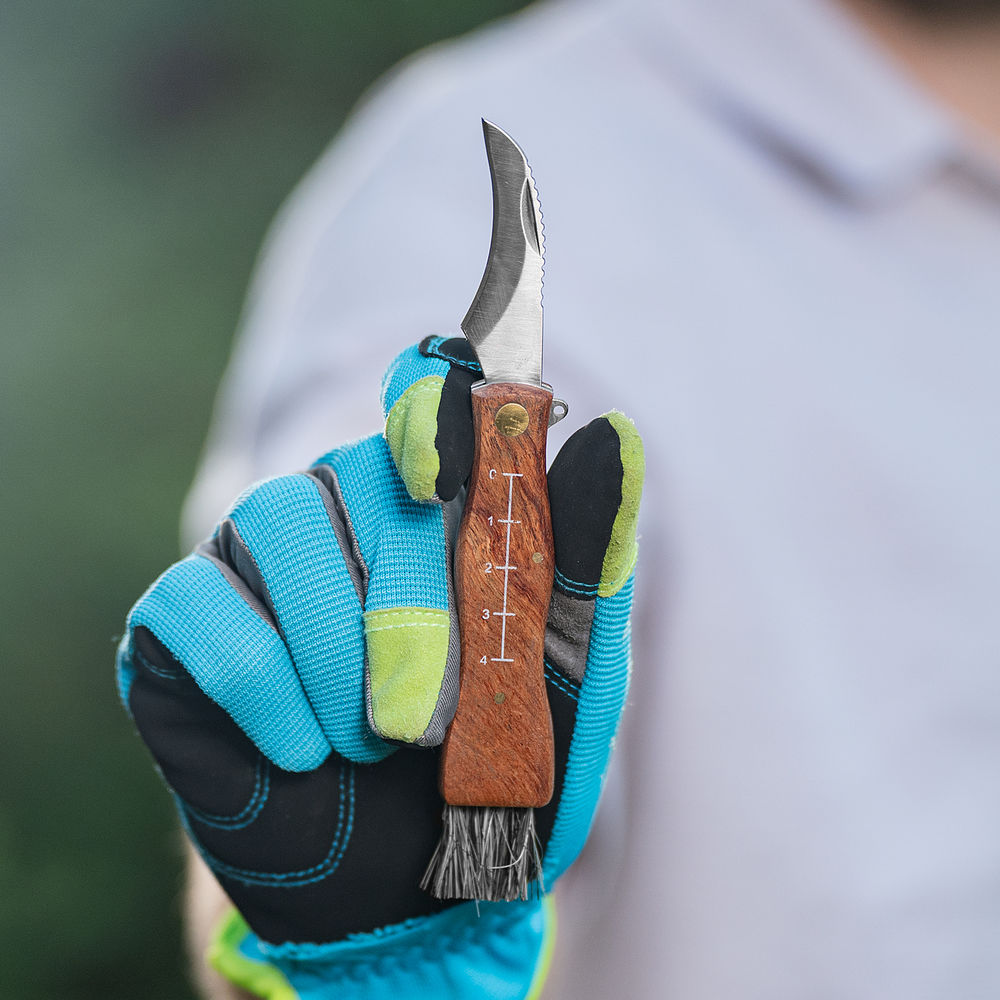 Нож грибника складной, 145 мм, деревянная рукоятка, Palisad (79004)