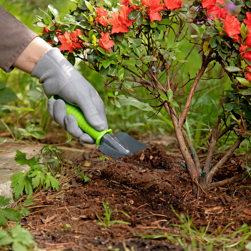 Совок узкий, защитное покрытие, пластиковая рукоятка Palisad (626528)