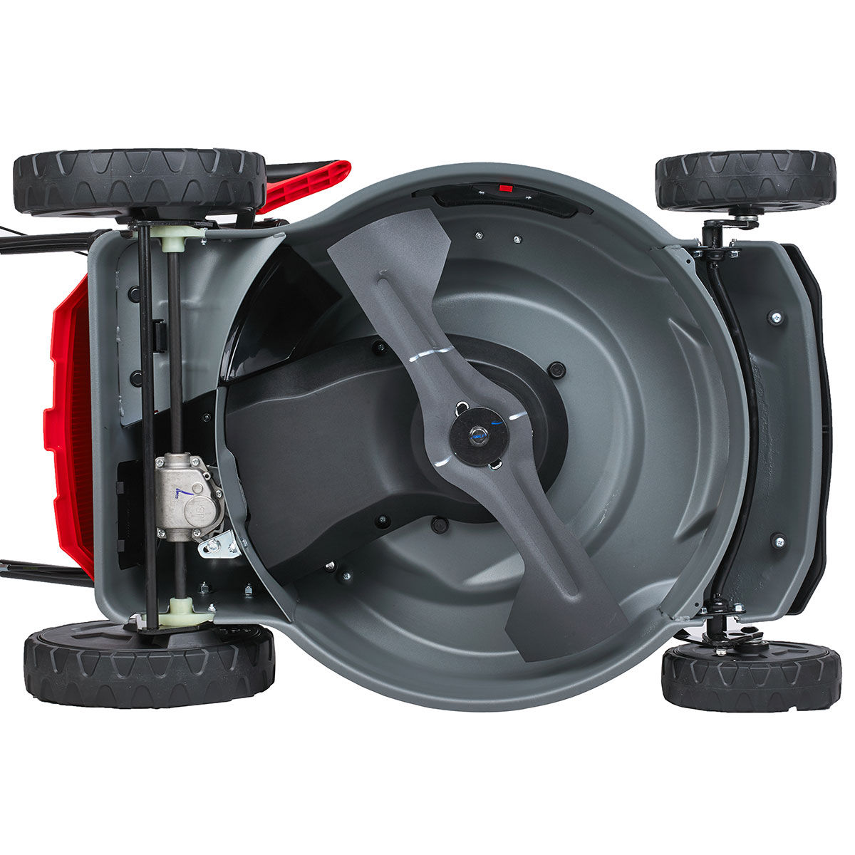 Газонокосилка бензиновая (бензокосилка) EVOline LMG 53 CVH (Honda)