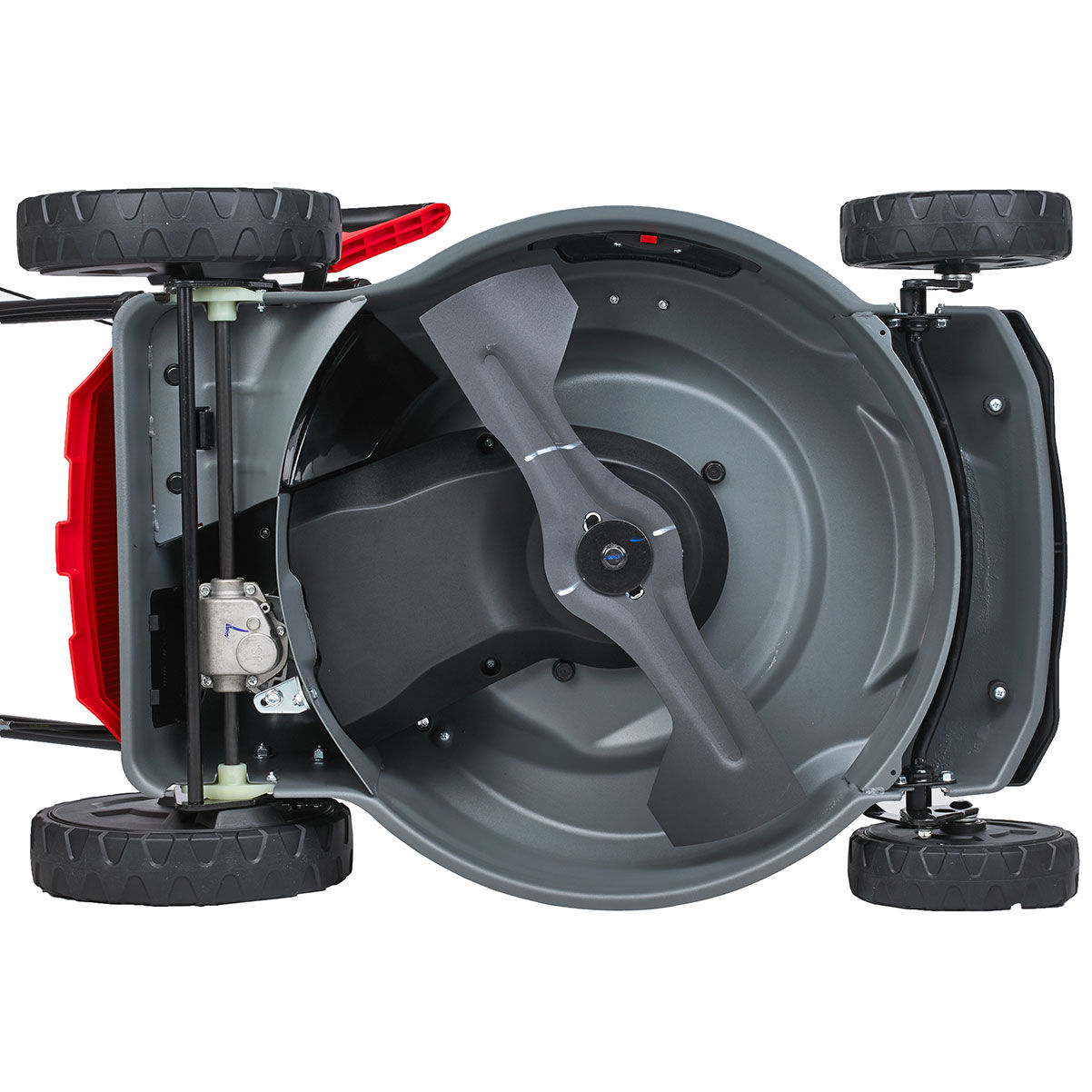 Газонокосилка бензиновая (бензокосилка) EVOline LMG 48 CVH (Honda)