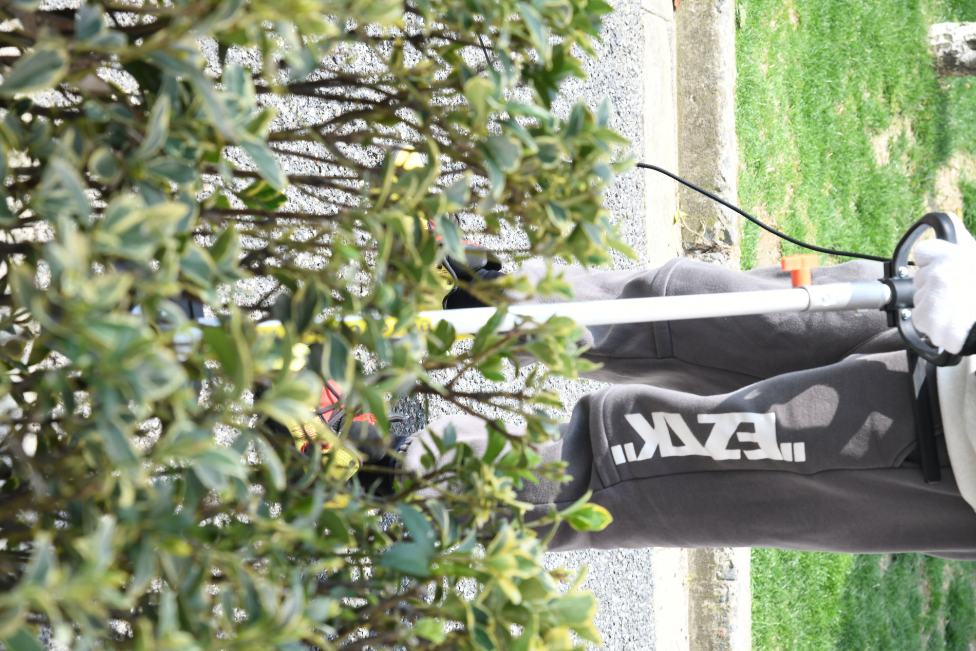 Триммер сетевой, 1200 Вт, 34 см (леска), 23 см (нож), D-рукоятка