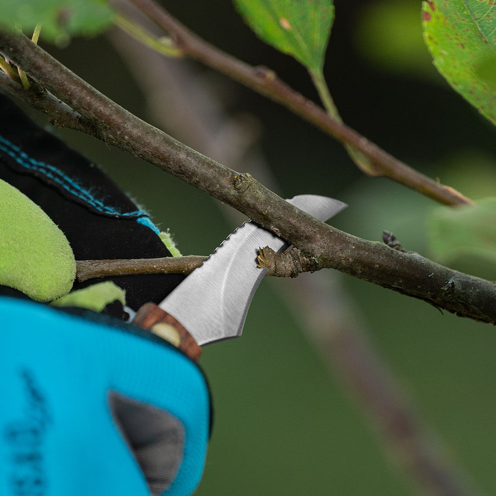 Нож грибника складной, 145 мм, деревянная рукоятка, Palisad (79004)