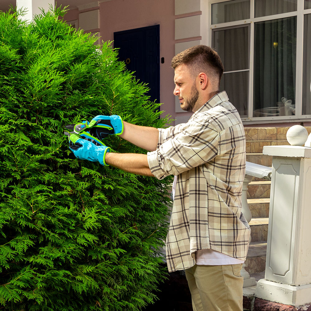 Секатор с наковальней, 220 мм, регулировка захвата, трехкомпонентные рукоятки, Luxe, Palisad (60480)