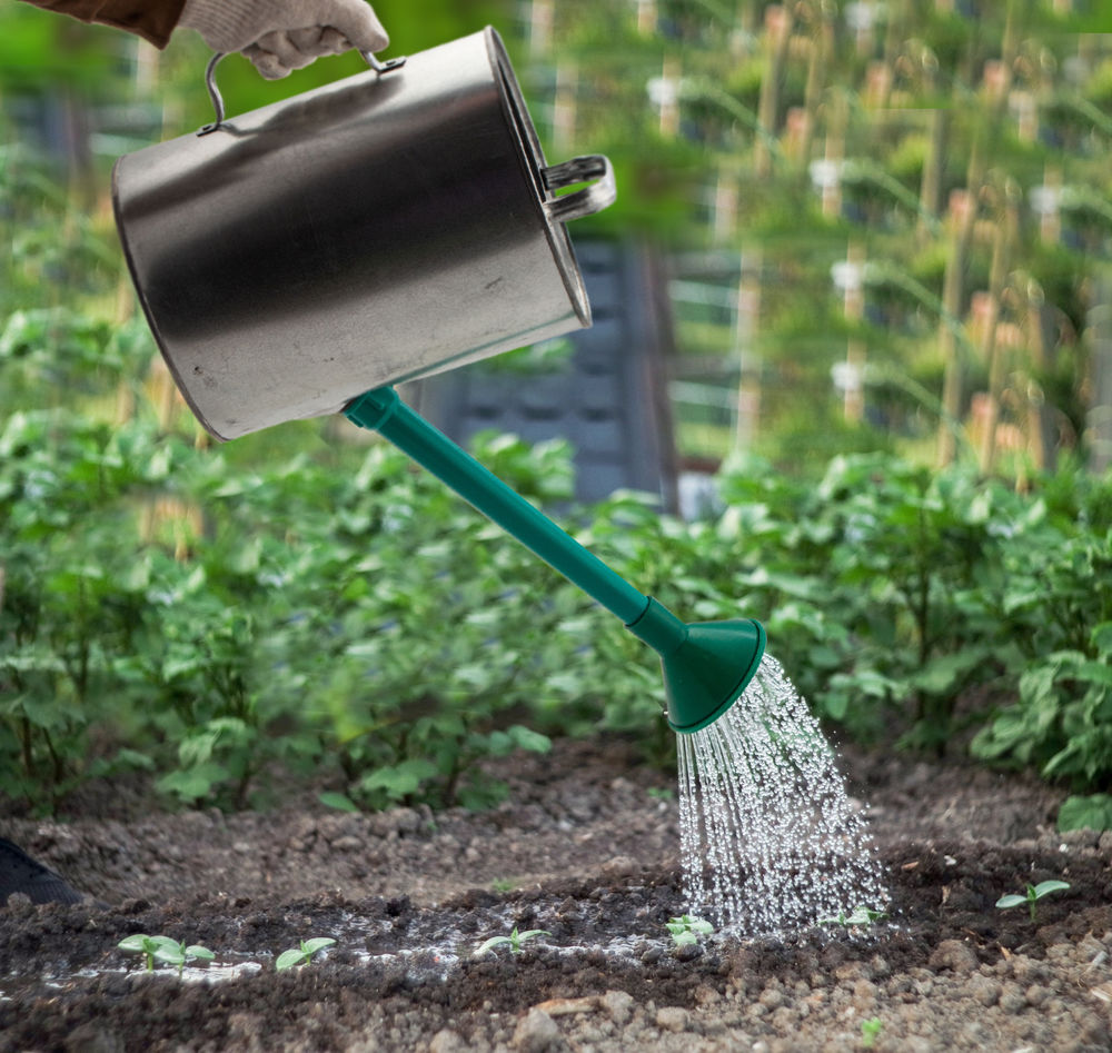 Лейка садовая, 10 л, оцинкованная Сибртех (67525)