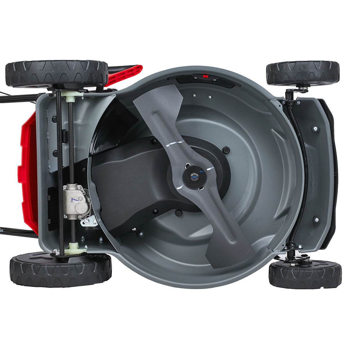 Газонокосилка бензиновая (бензокосилка) EVOline LMG 53 CV