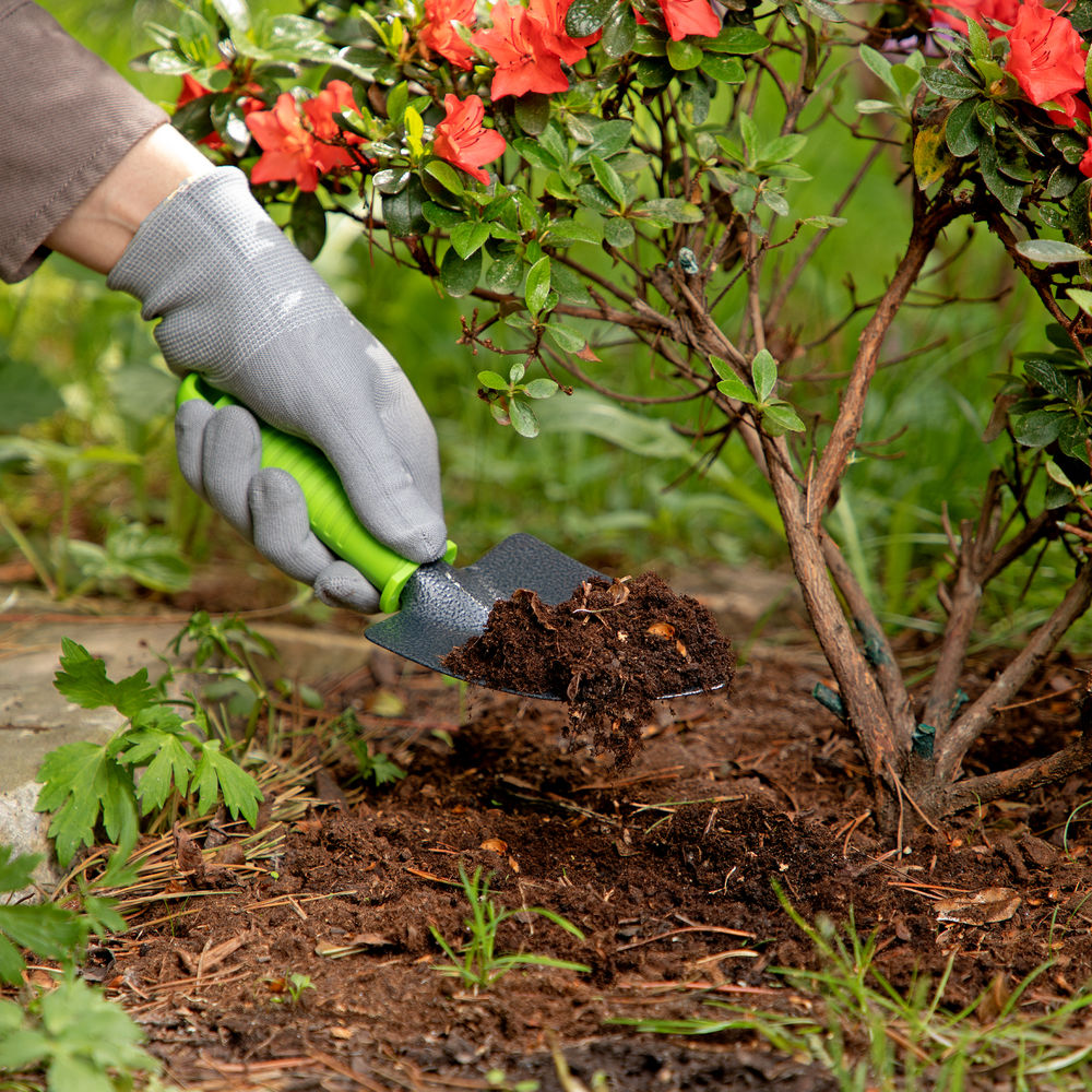 Совок посадочный широкий, 85 х 250 мм, стальной, пластиковая рукоятка, Standard, Palisad (62651)