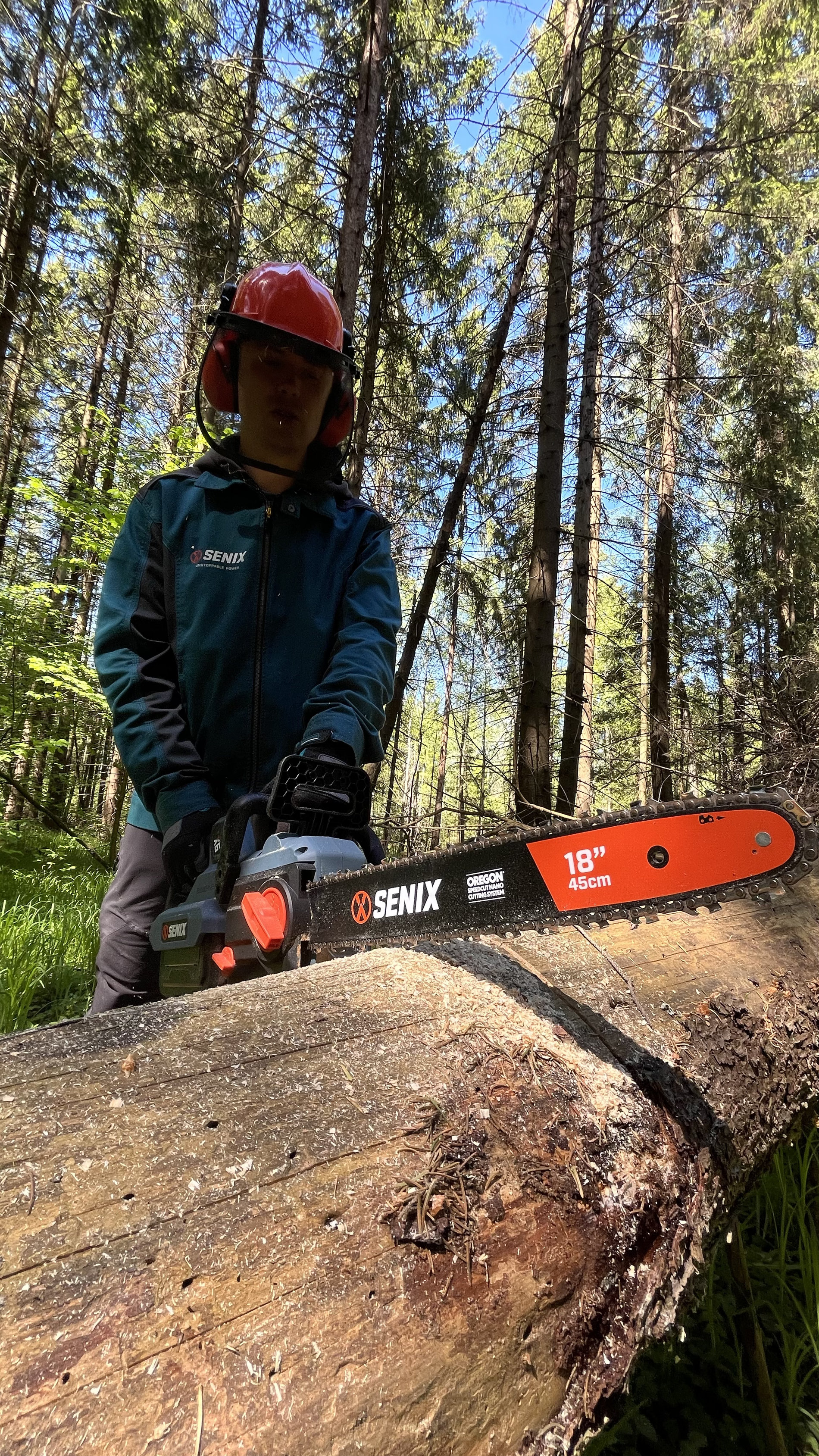 Пила цепная, бесщ.мотор, 45 см (18), Oregon. В комплекте: 1 батарея 4.0Ач, ЗУ X6 60В