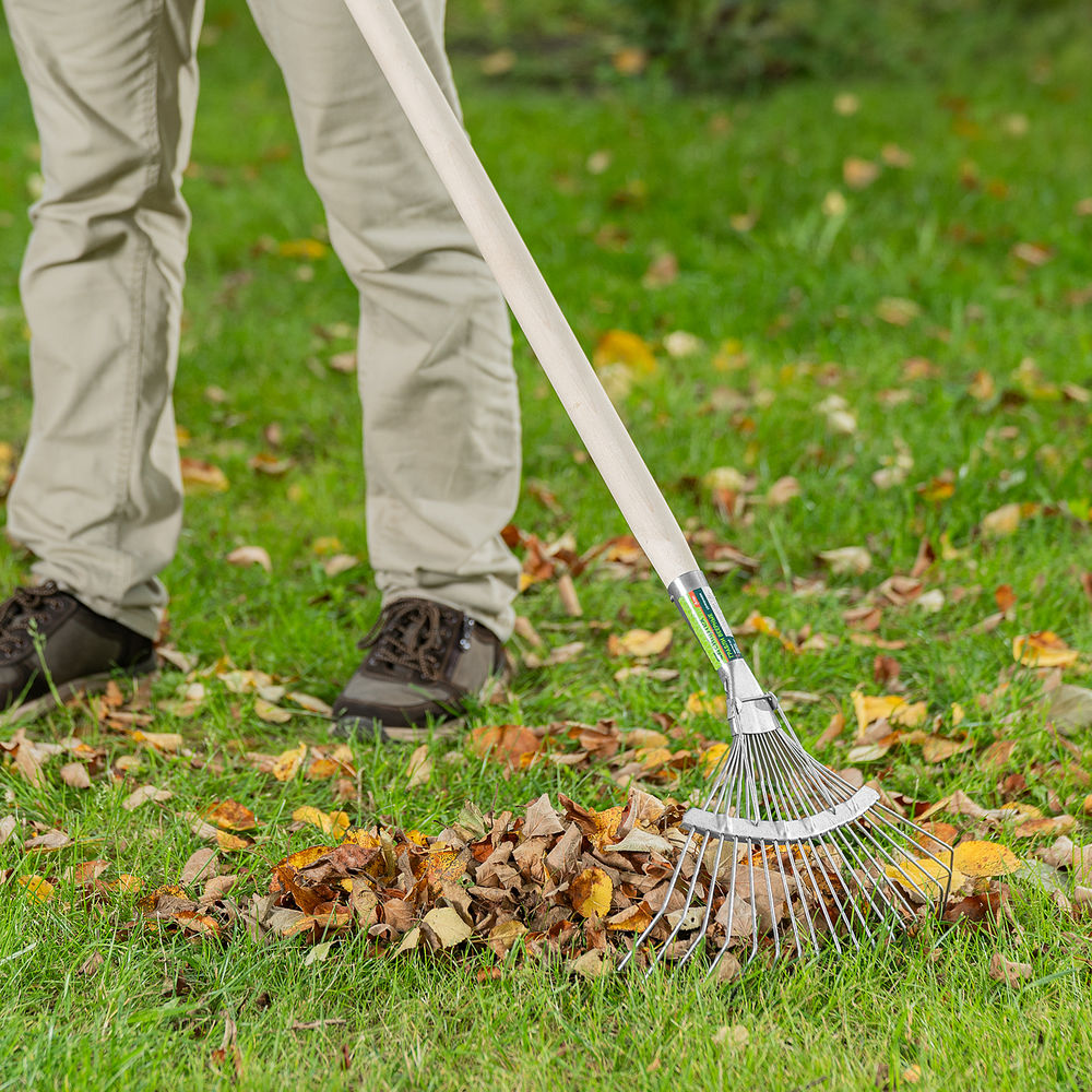 Грабли веерные стальные, 350 х 1450 мм, 18 круглых зубьев, деревянный черенок, Сибртех (61781)