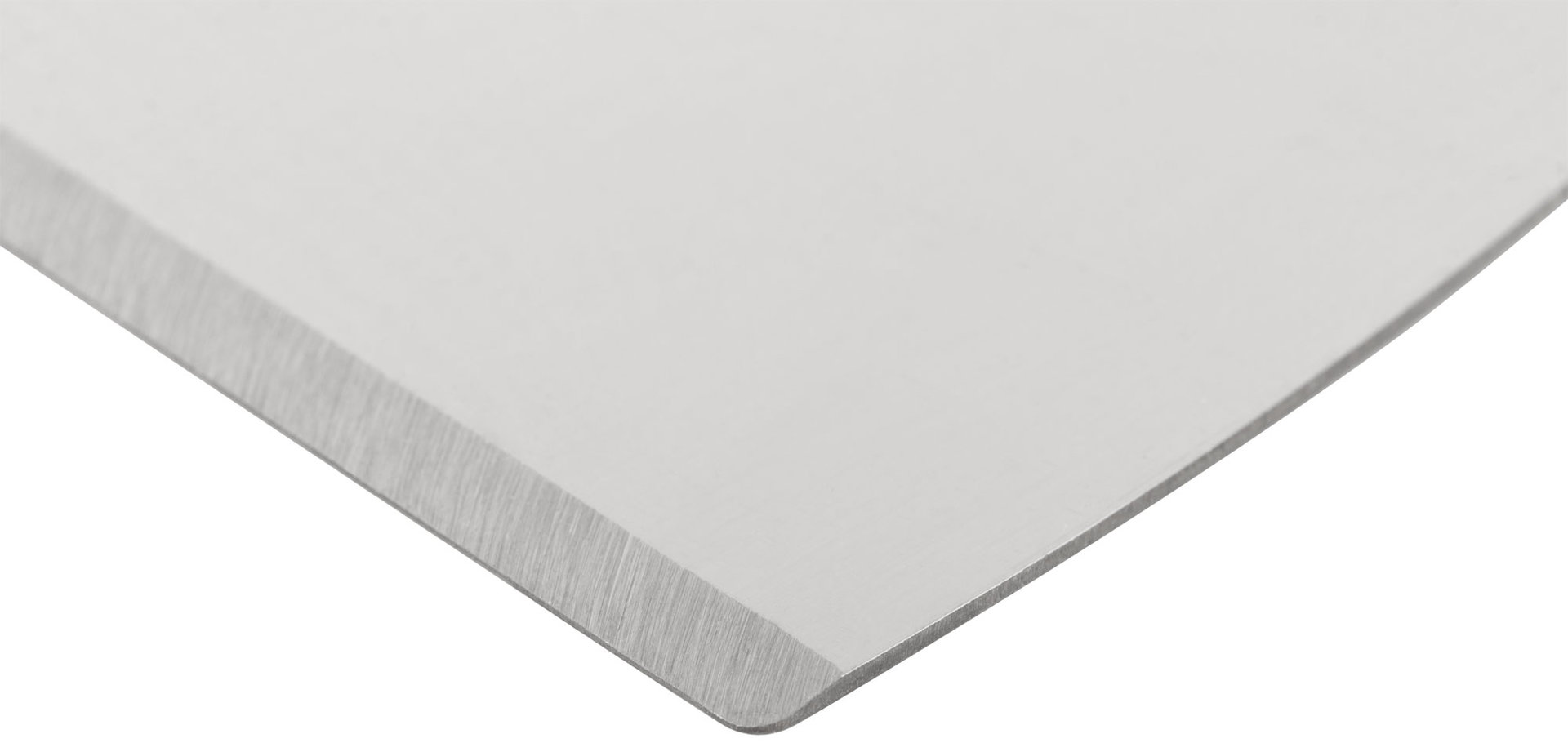 Шпатель для удаления ржавчины Профи, толщ. лезвия 1 мм, пластик.ручка с метал.бойком 2,5 (63 мм) (06395)